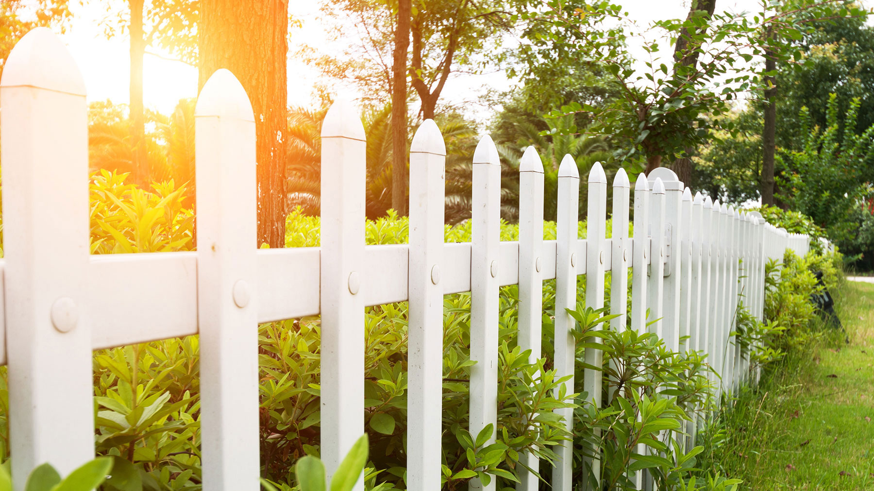 Wilson Trace Condo Community cover
